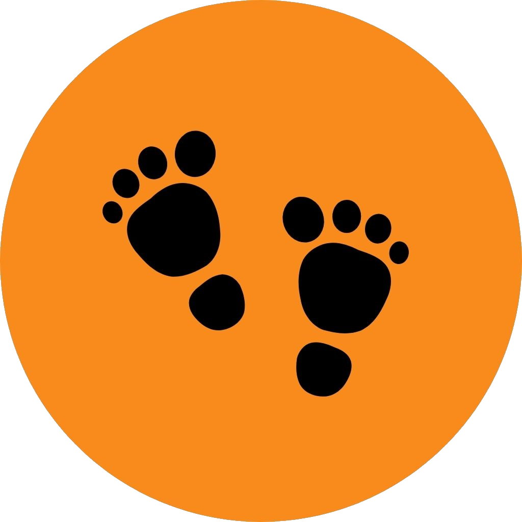 Cercle orange avec des pas